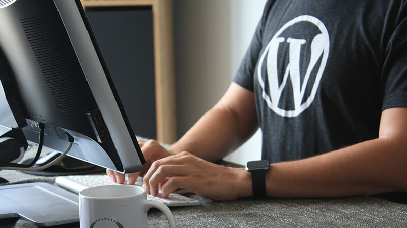 WordPress Web Development Services | Catching Clicks